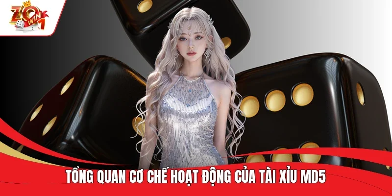 Tổng quan cơ chế hoạt động của Tài Xỉu MD5 Tổng quan cơ chế hoạt động của Tài Xỉu MD5